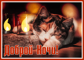 Открытка открытка спокойной ночи со спящим котиком