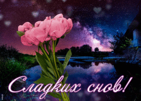 Открытка открытка спокойной ночи ярких снов