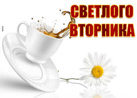 Postcard открытка светлого вторника с ромашкой и чаем