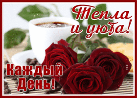 Postcard открытка тепла и уюта каждый день с розами