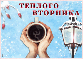 Картинка открытка теплого вторника