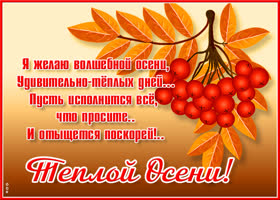 Открытка открытка тёплой осени