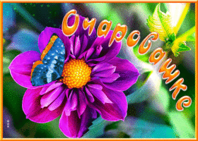 Картинка открытка цветы очаровашке