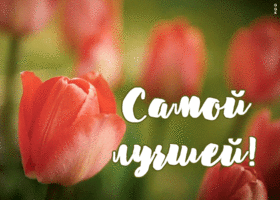 Открытка открытка тюльпаны самой лучшей
