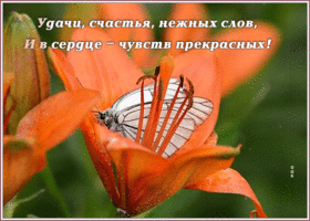 Открытка открытка удачи и счастья