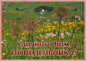 Картинка открытка удачного понедельника