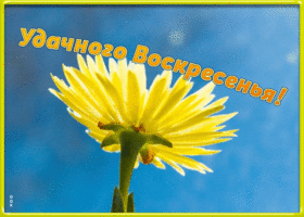 Картинка открытка удачного воскресенья