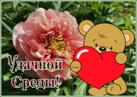 Picture открытка удачной среды с мишкой распустившимся пионом