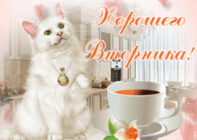 Картинка открытка удивительного вторника