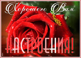 Открытка открытка улыбнись для настроения