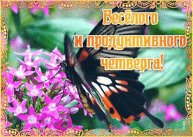 Картинка открытка веселого четверга
