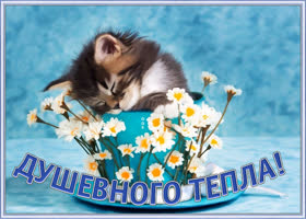 Картинка открытка весеннего тепла