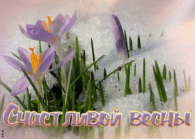 Открытка открытка весенний привет