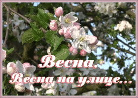 Открытка открытка весна на улице