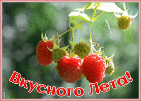 Картинка открытка вкусного лета