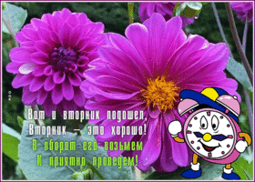 Picture открытка вторник - это хорошо