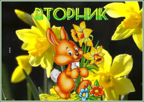 Picture открытка вторник с нарциссами и зайчиком