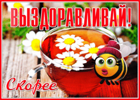 Открытка открытка выздоравливай с ромашками