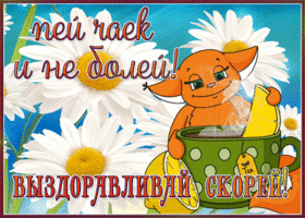 Открытка открытка выздоравливай с цветами