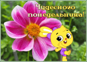 Picture открытка хорошего понедельника с танцующим зайкой