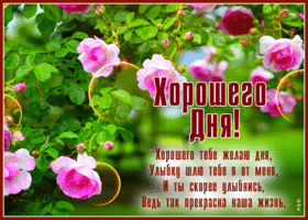 Picture открытка хорошего тебе желаю дня