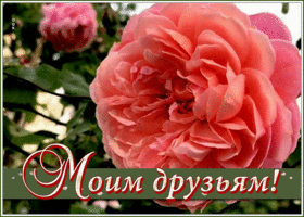 Картинка открытка я люблю своих друзей