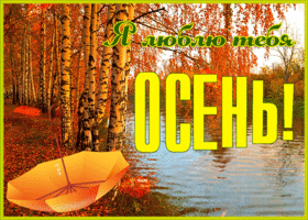 Открытка открытка я люблю тебя осень