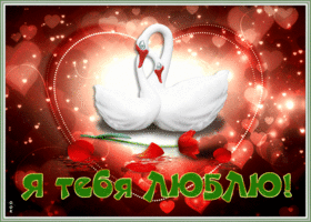 Открытка открытка я тебя люблю с лебедями