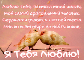 Картинка открытка я тебя люблю с текстом