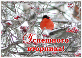 Открытка открытка яркого вторника