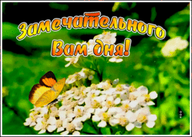 Открытка открытка замечательного дня