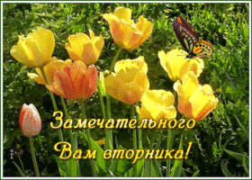 Открытка открытка замечательного вторника