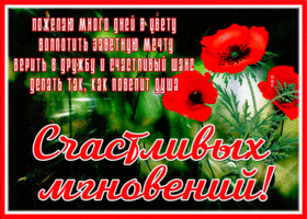 Postcard открытка желаю много дней в цвету