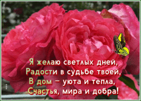 Postcard открытка желаю радости и светлых дней