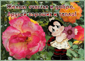 Postcard открытка желаю счастья и добра, друзей хороших и тепла