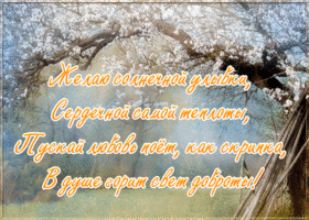 Picture открытка желаю солнечной улыбки