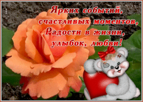 Открытка открытка желаю любви красивой