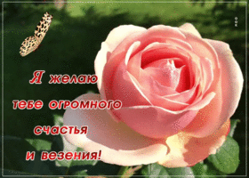 Картинка открытка желаю тебе счастья