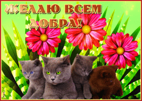 Открытка открытка желаю всем добра