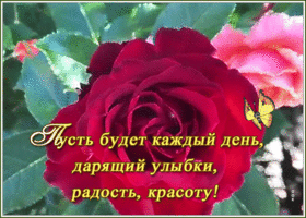 Картинка открытка желтые цветы и пожелания