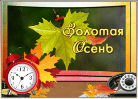 Открытка открытка золотая осень