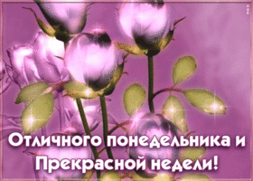 Картинка отличного понедельника