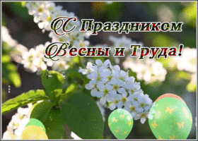 Postcard отличная картинка с 1 мая