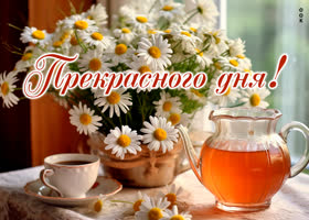 Postcard отлично выполненная открытка с ромашками прекрасного дня!