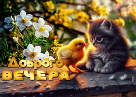 Postcard отзывчивая гиф-открытка, чудесного вечера