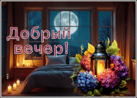 Picture озорная гиф-открытка, пусть никто не потревожит твой вечер