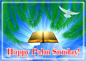 Postcard palm sunday