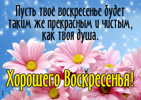 Postcard передающая радость открытка с прекрасным и чистым воскресеньем