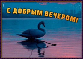 Открытка плейкаст открытка добрый вечер