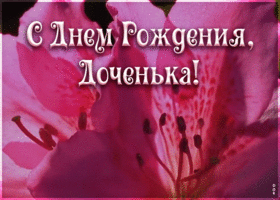 Картинка плейкаст с днём рождения дочери